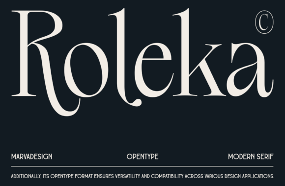 How Roleka Transformed My Brand’s Visual Identity