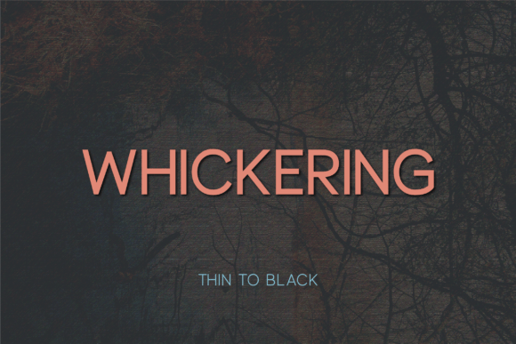 Whickering: A Modern Sans Serif Font for Web Projects